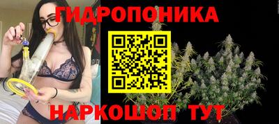 jwh Пугачёв