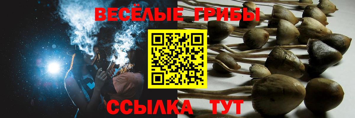 Орёл  Галлюциногенные грибы Psilocybe  Вход с VPN 